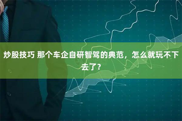 炒股技巧 那个车企自研智驾的典范，怎么就玩不下去了？