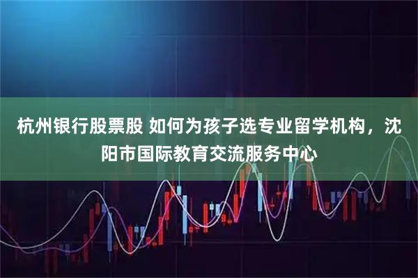 杭州银行股票股 如何为孩子选专业留学机构,沈阳市国际教育交流服务中心